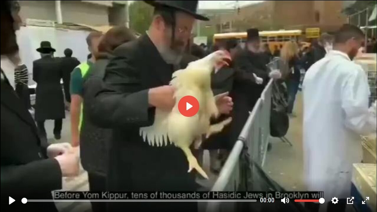 CHICKEN HOLOCAUST IN NEW YORK