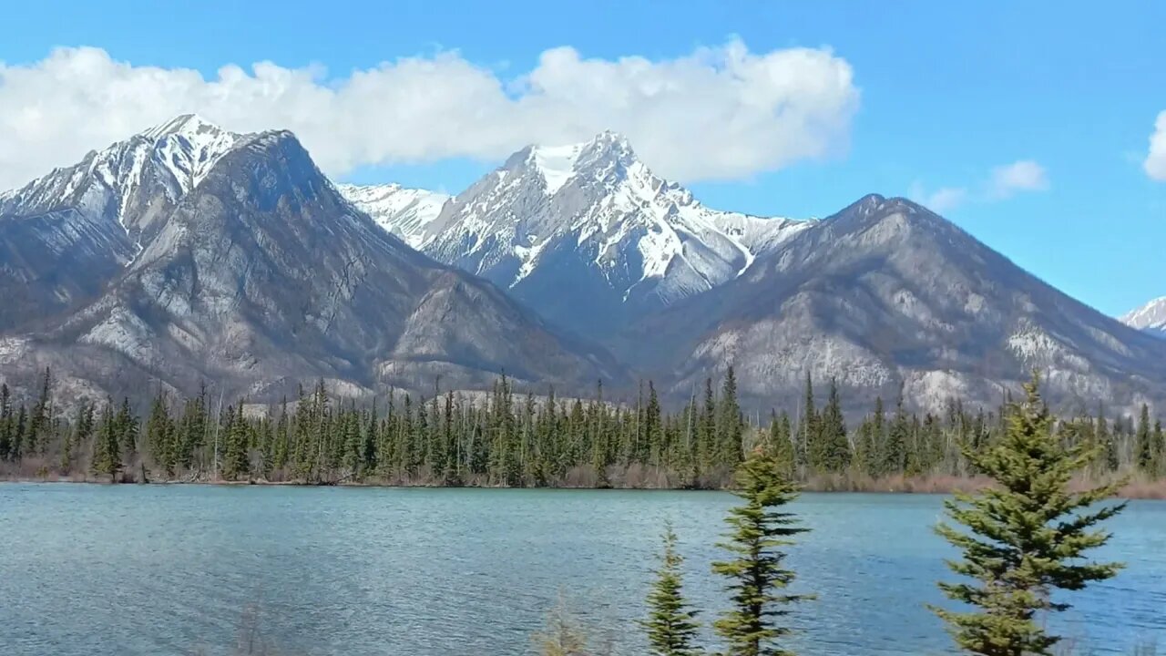 Drive Through Jasper National Park. The Largest National Park in The Canadian Rockies!