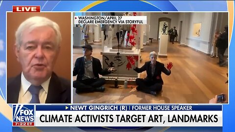 Newt Gingrich: Climate activist mayhem 'shouldn't be tolerated'