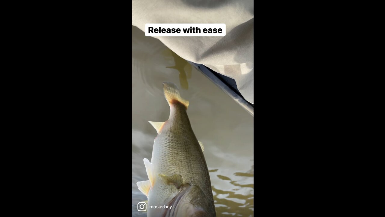 Release with ease