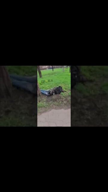 🔞 У Маріуполі справжній геноцид. 🔞 There is a real genocide in Mariupol.