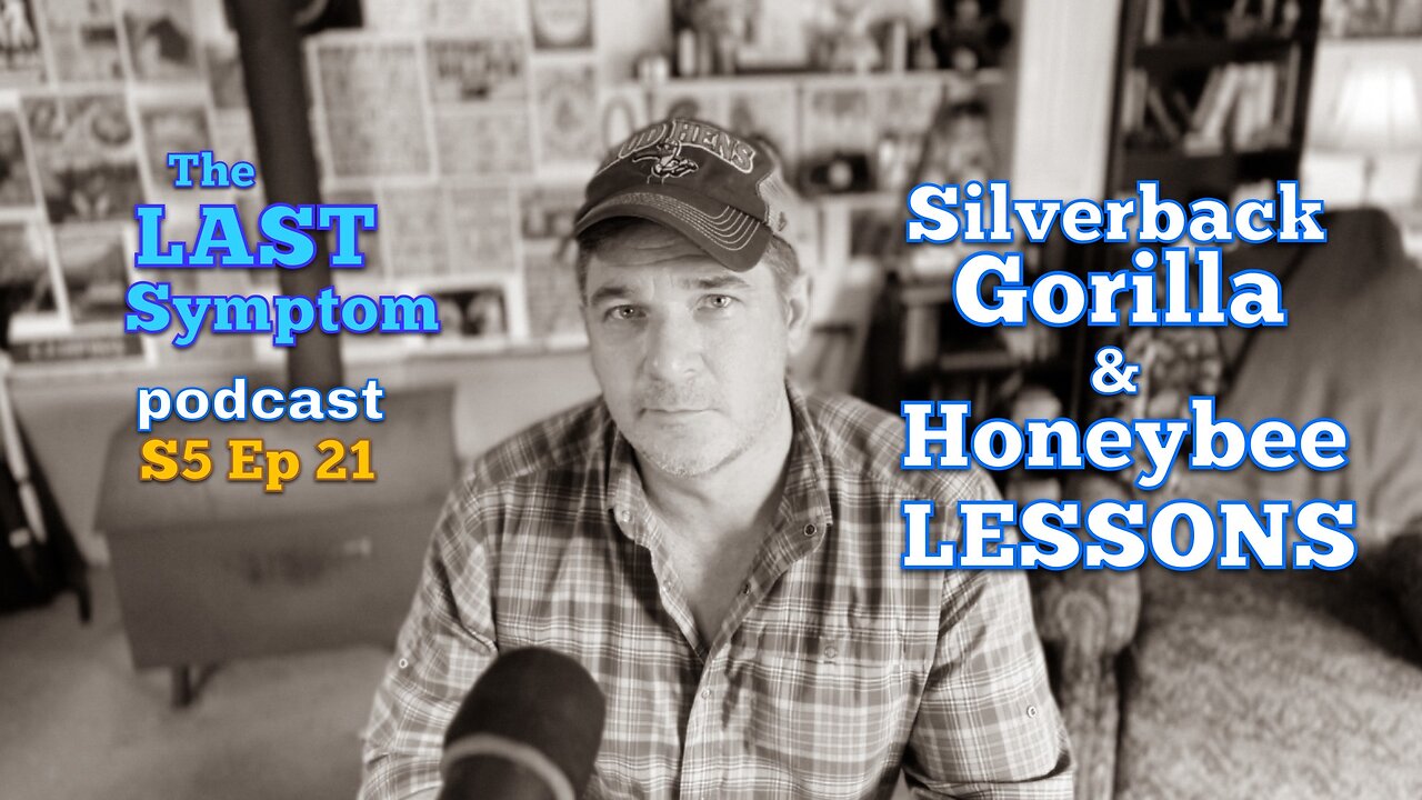 S5 Ep 21: Silverback Gorilla & Honeybee Lessons