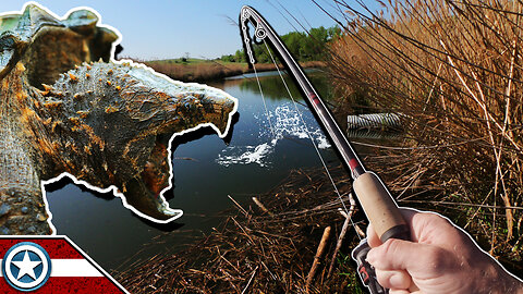 Fishing Snapping Turtle Pond for Largemouth Bass (NEW Remote Location)