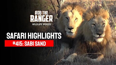 Safari Highlights #415: 19 - 21 June 2016 | Sabi Sand Wildtuin | Latest Wildlife Sightings