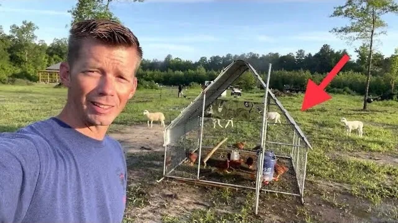 Farm update and installing automatic waters for sheep and chickens