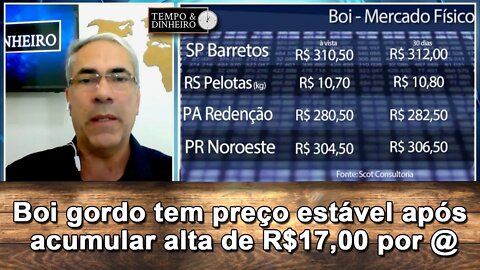 Boi gordo tem preço estável após acumular alta de R$17,00 por arroba