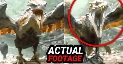 NEW CAMERA EVIDENCE YOU MUST SEE NOW
