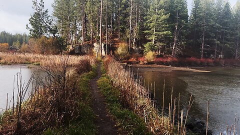 Vibrant Wildlife Hiking in Rain & RUSTIC Edifice Lookout Above Deschutes River Central Oregon 4K!