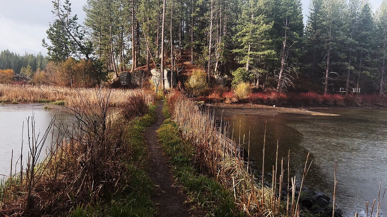 Vibrant Wildlife Hiking in Rain & RUSTIC Edifice Lookout Above Deschutes River Central Oregon 4K!