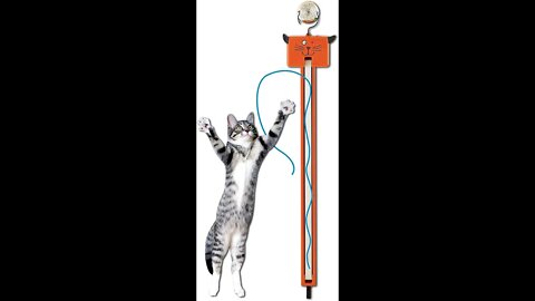 Best cat toy for your kitten, link in description, #shorts, Funny Cute Pets Lovers, cat toy