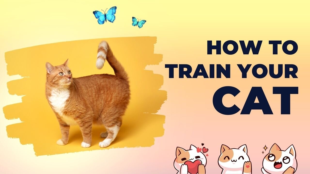 Funny Cats 😺 Funniest Cat Videos 2023