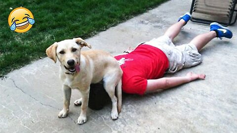 When My Dog Doing Funny Things 😹🐶_ Pets Island part-2