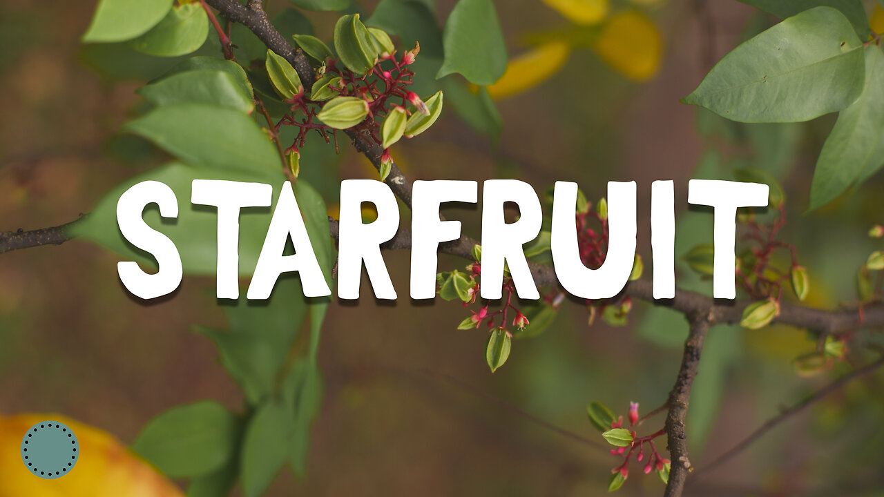 How to Grow ~ Starfruit (Carambola)