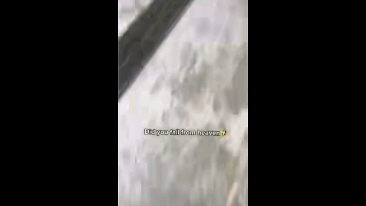 Did you fall from heaven?? 🤣💀