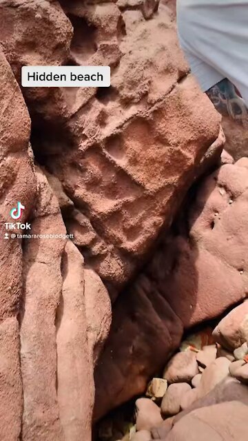 The difficulty in our style of beachcombing 🐚