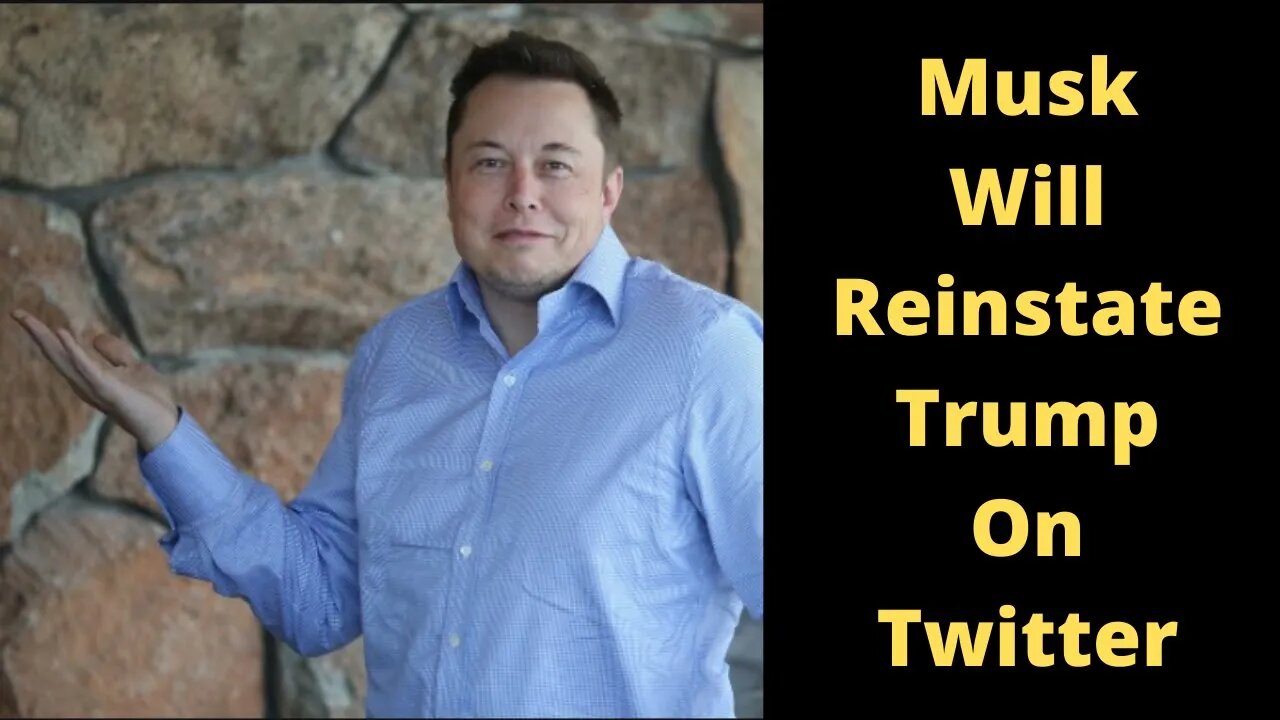 Musk Will Reinstate Trump On Twitter