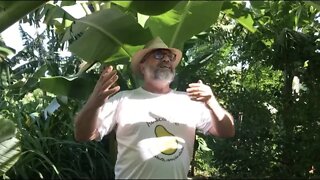 Agroecologia Soberania Alimentar e Política Partidária com Roger Merg Saraiva