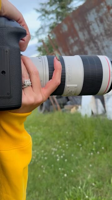 11.8” MMS Hand Guard