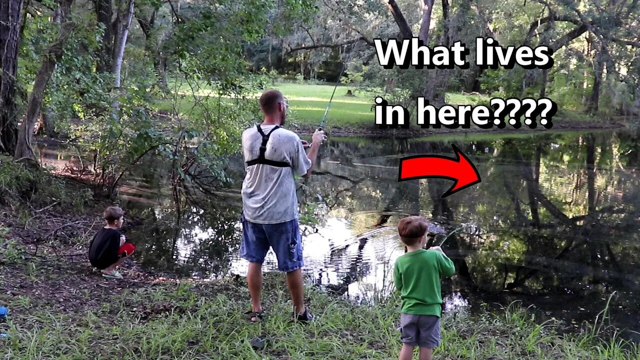 Fishing the new backyard pond!! What lives in here???