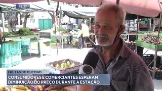 Frutas do outono: Consumidores e comerciantes esperam diminuição do preço durante a estação