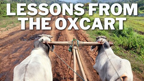 Lessons from the Oxcart: Why Human Efforts Alone Are Not Enough