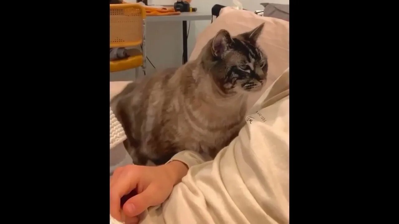 If I Could Only Find Someone That Looks At Me That Way