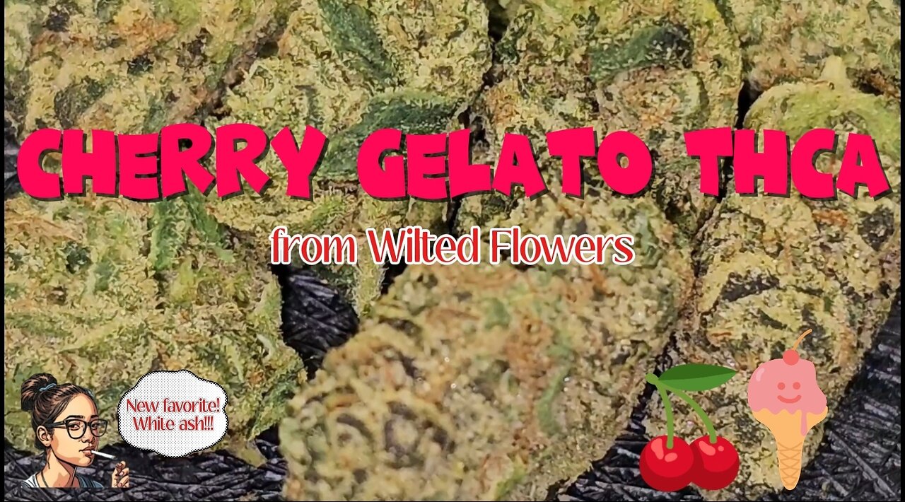 Cherry Gelato THCa 🍒🍨 | Wilted Flowers