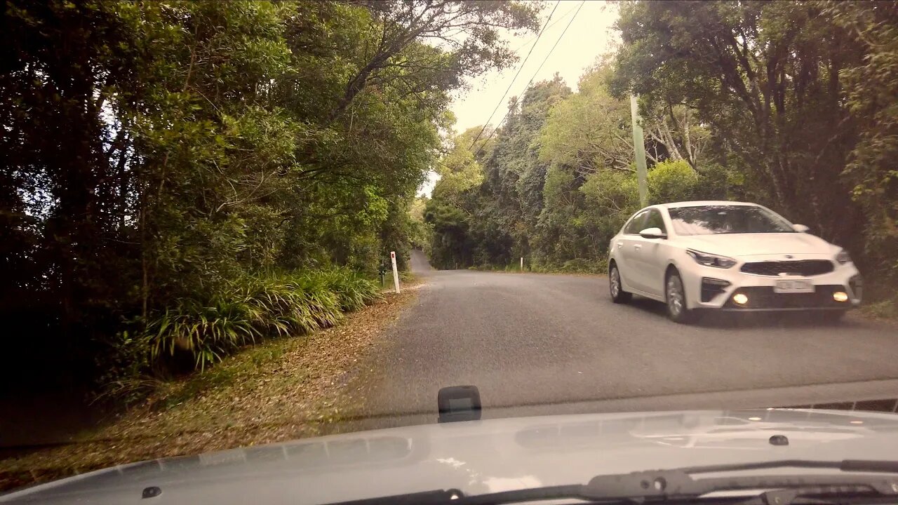Driving on Top of the Springbrook Mountain || QLD || AUSTRALIA