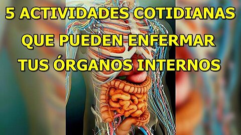 EL EXCESO DE ESTAS 5 ACTIVIDADES COTIDIANAS PUEDE ENFERMAR TUS ORGANOS INTERNOS