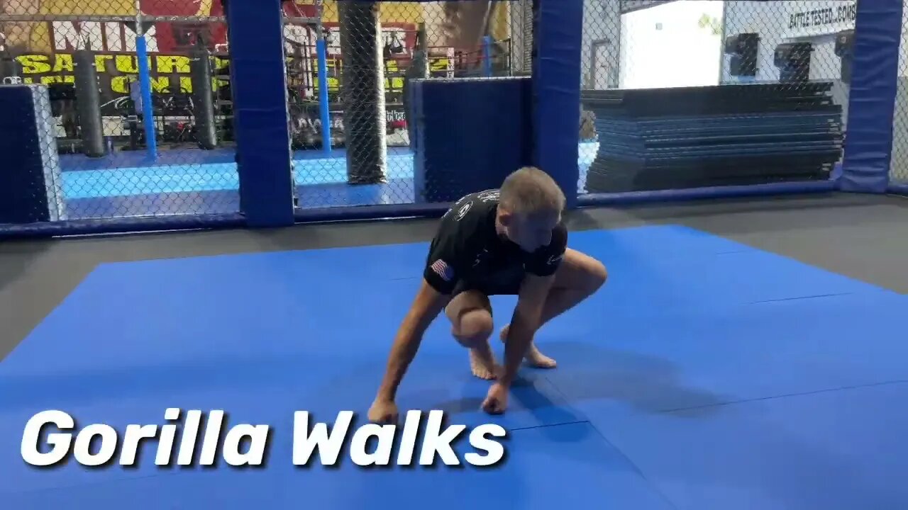 At Home Workouts - Solo BJJ Animal Drills