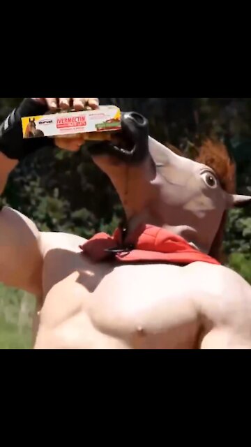 When you take Ivermectin