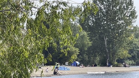 Lakeshore Toronto