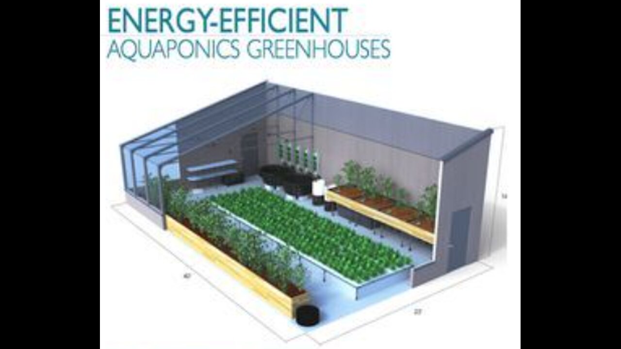 Aquaponics systems are often chosen for Educational Greenhouses