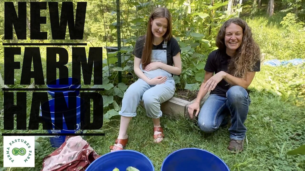 EXCITING Announcement PLUS Summer Permaculture Garden Harvest