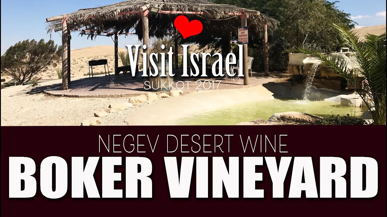 Boker Vineyard, Israel