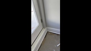 Fiberglass roof