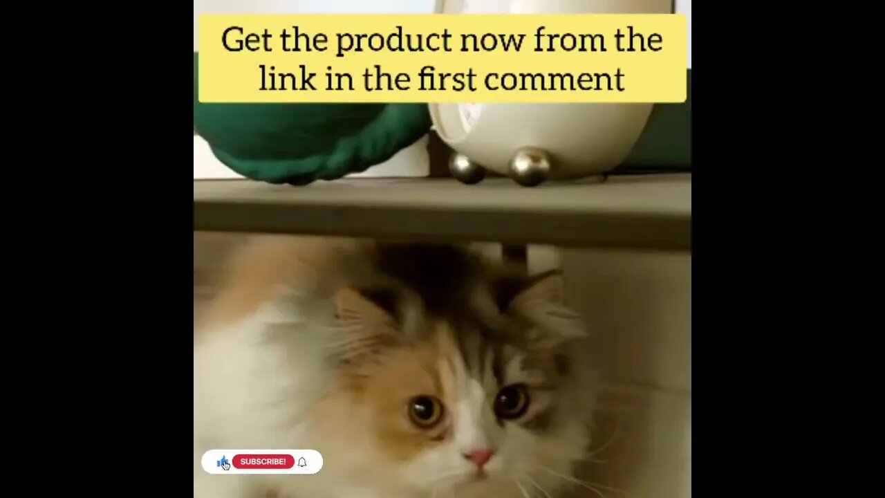 cute cat videos 😹 funny videos 😂191