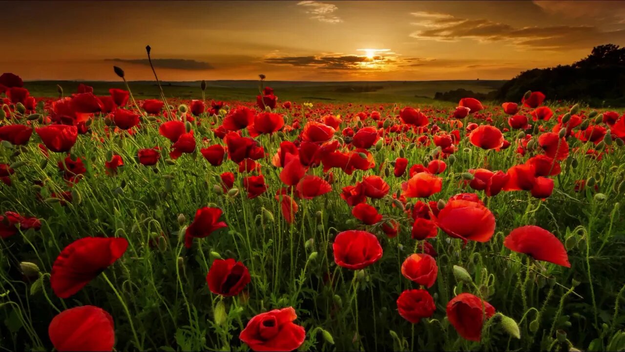 🎵🧘♀️ Beautiful melody for meditation reflection relaxation/Linda melodia para meditação reflexão.