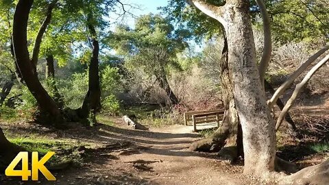 4K Virtual Hike - Los Altos Trails - Lower Meadow Trail, Rogue Valley Trail Hike