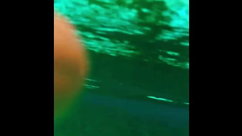 Silver Glen Springs. Had so much fun freedivin' Silver Glen Springs Had so much fun