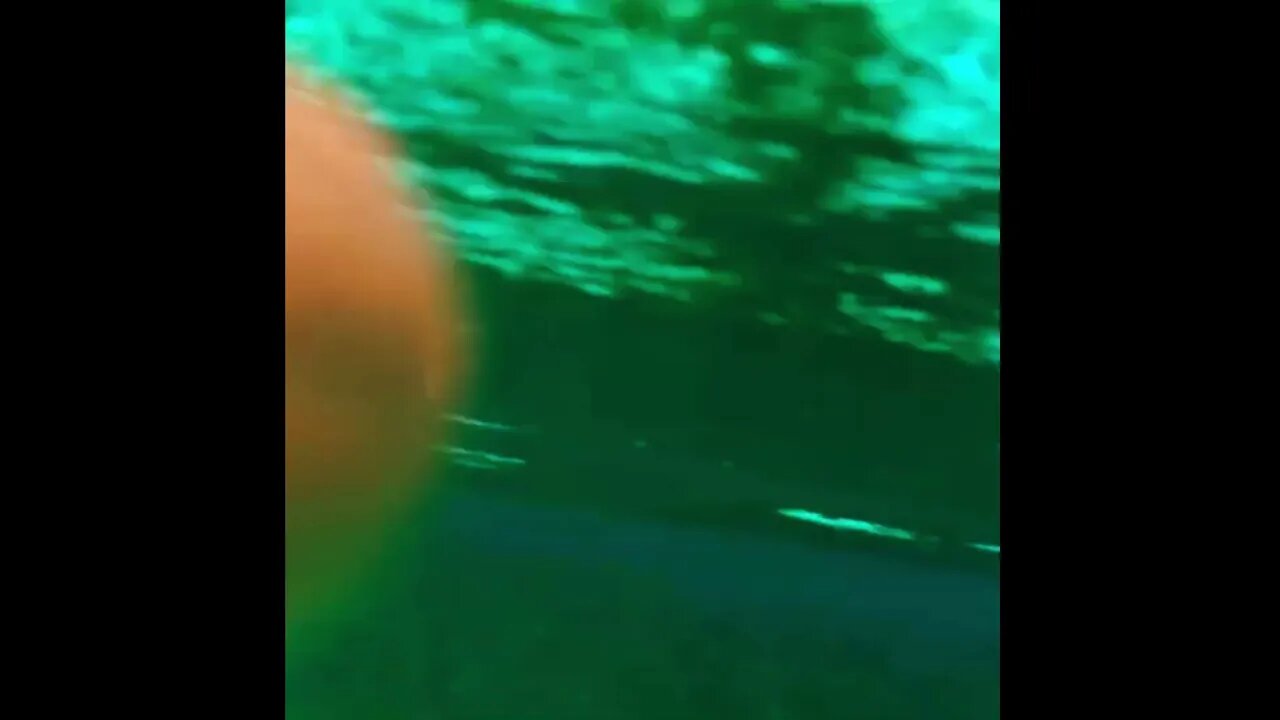Silver Glen Springs. Had so much fun freedivin' Silver Glen Springs Had so much fun