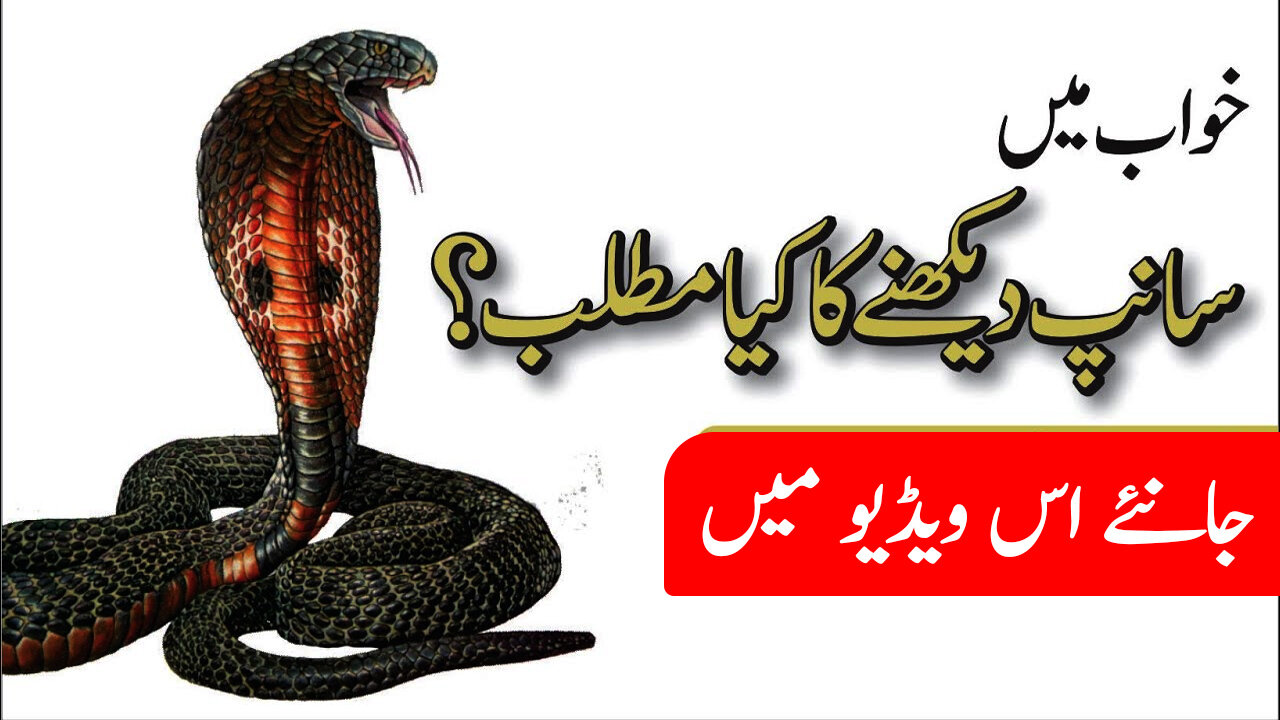 Khwab Mein Saanp Dekhna | Snake Dream Meaning | Khwab Mein Saanp aane ka Matlab