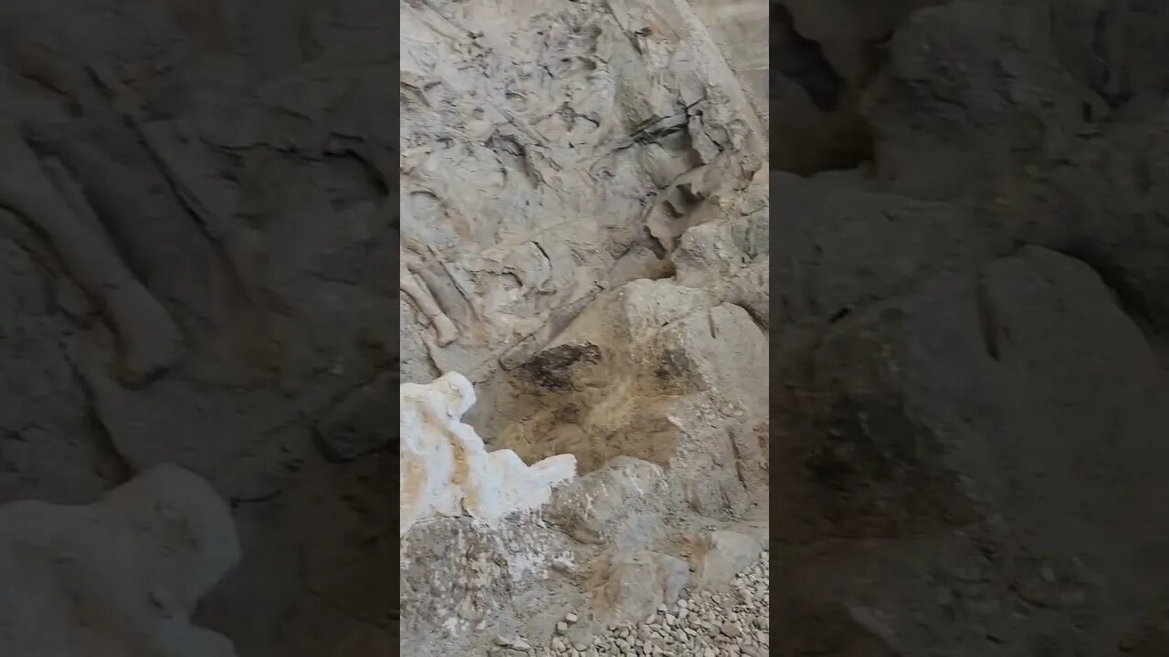Dinosaur National Monument Quarry Exhibit size. #justdriveit #family