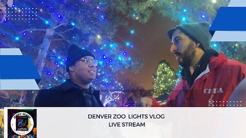 Denver Zoo 2024 Zoo Lights Vlog | Live Experience 🎄🐅