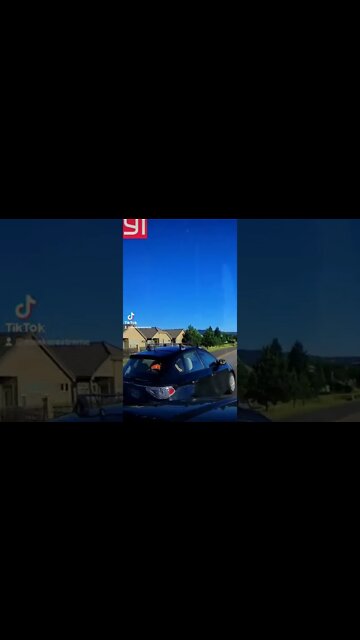 Mr Mitchell gets a ticket