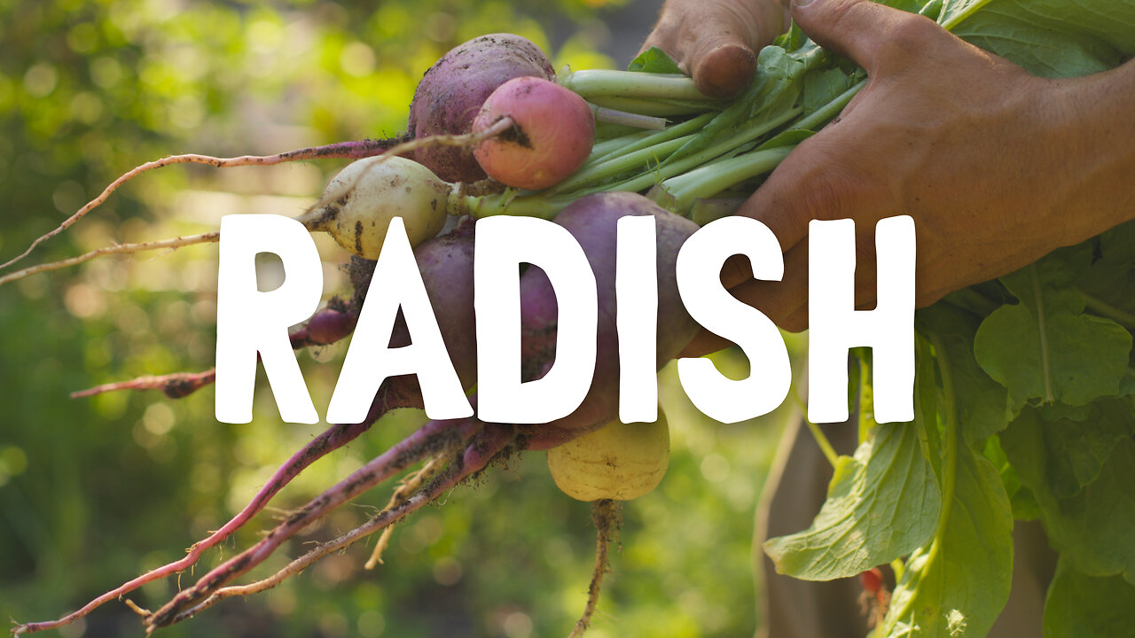 How To Grow ~ Radishes