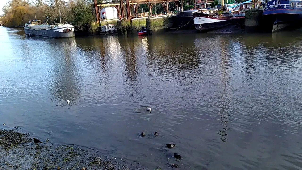 A walk by the Thames in Brentford