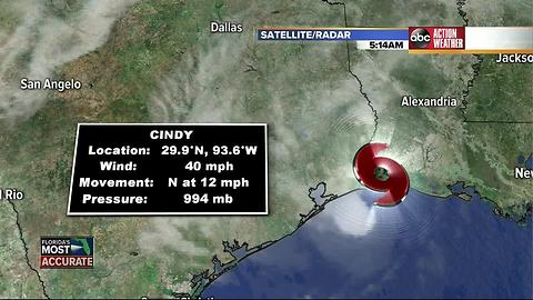 Tropical Storm Cindy makes landfall on Gulf coast