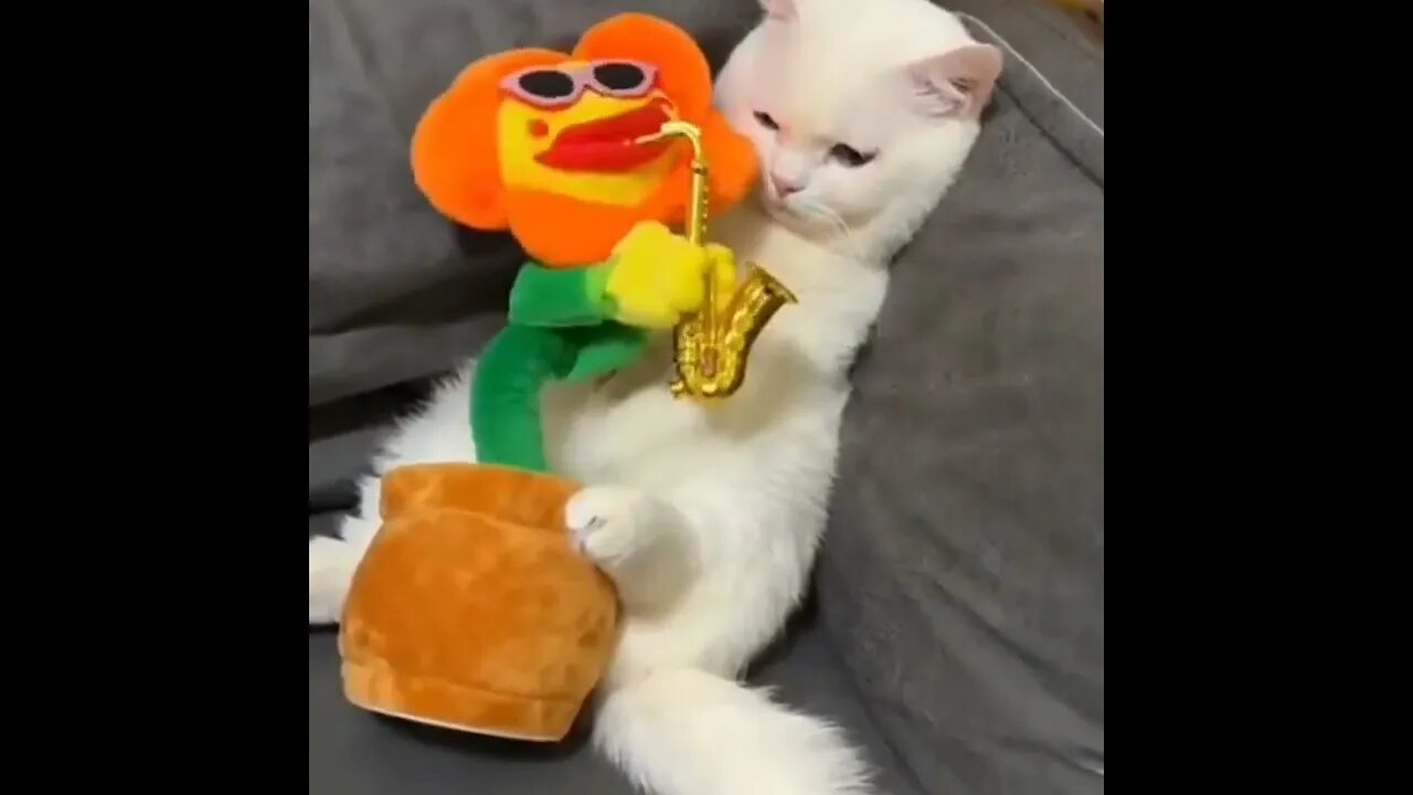 PLEASE SUBSCRIBE HELP ME POST MORE VIDEOS - #SHORTS