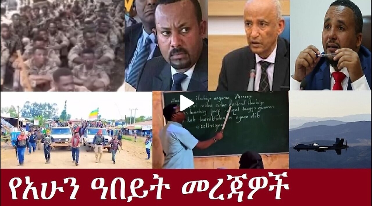 የአሁን ዓበይት መረጃዎች Nov 14,2024 #dere news #dera zena #zena tube #derejehabtewold #ethiopianews